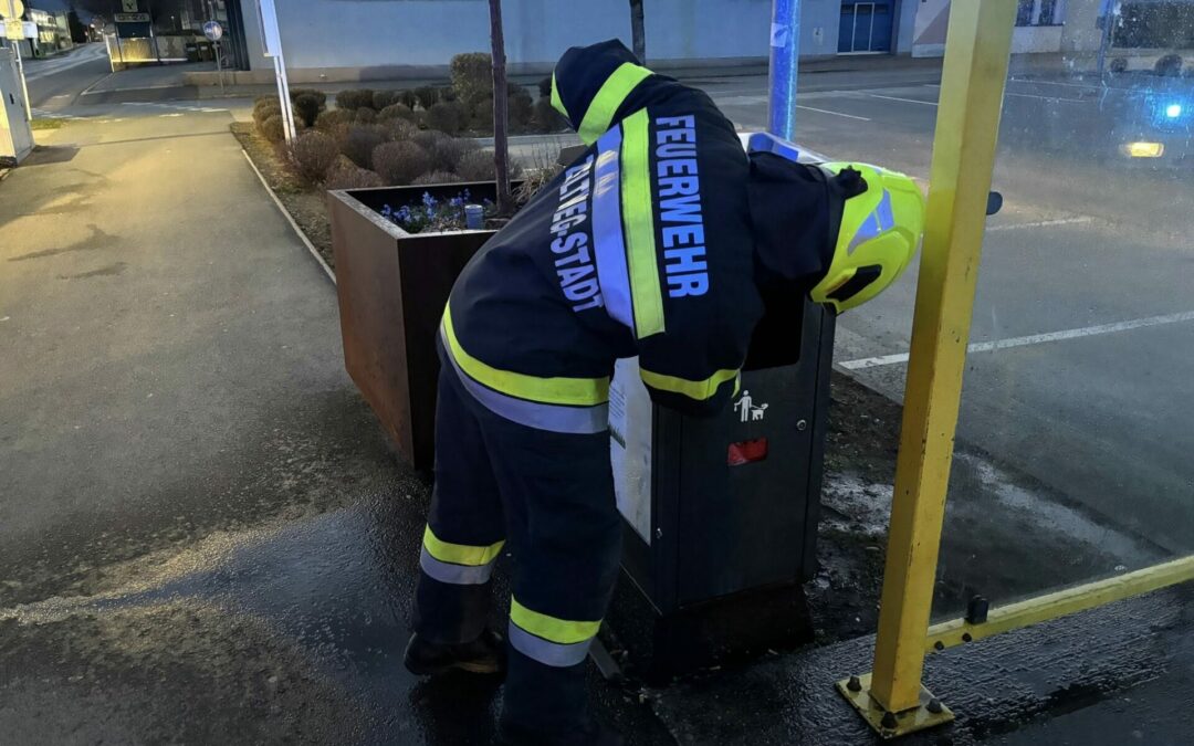 Brand eines Abfallbehälters