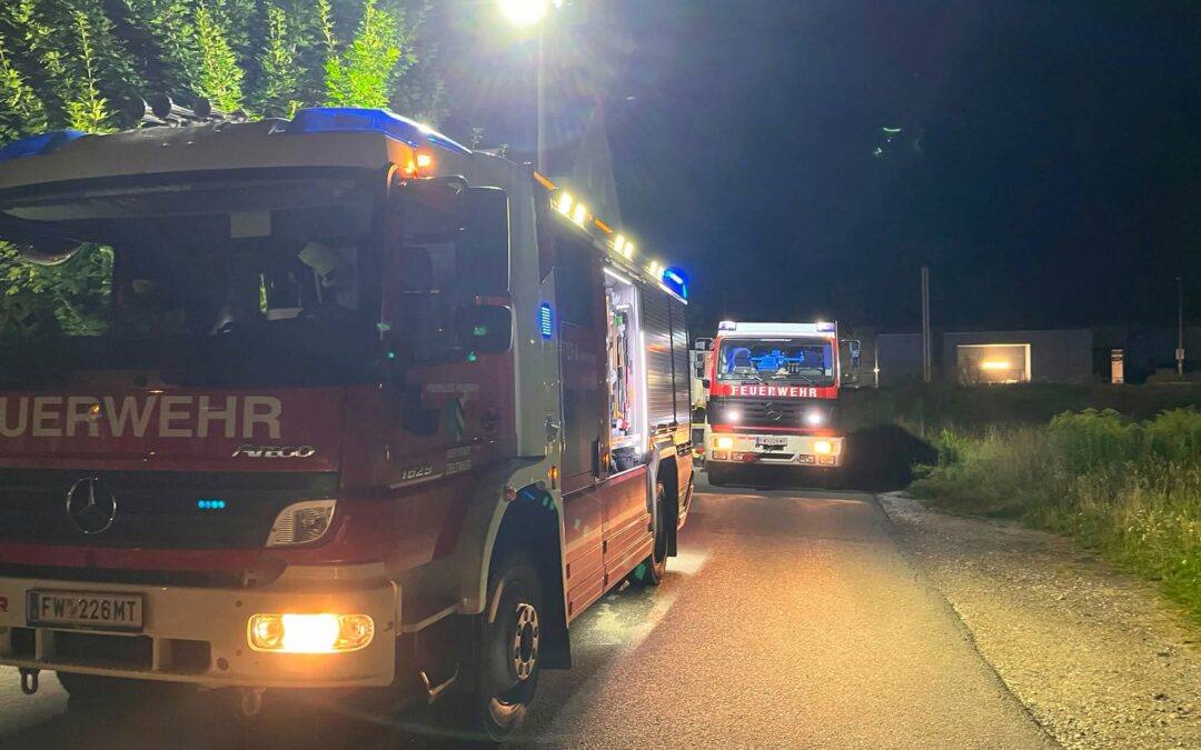 Brand in einer Gartenhütte